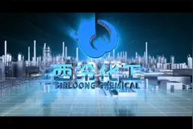 菏泽西冷化工有限公司视频封面