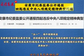 安康市纪委监委公开通报四起违反中央八项规定精神典型问题视频封面
