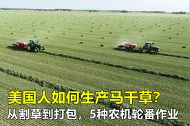 美国人如何生产马干草？从割草到打包，5种农机轮番作业，真高效视频封面