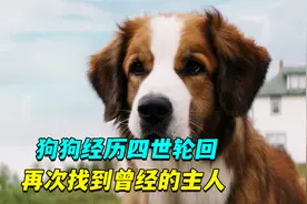 超感人！狗狗历经四世轮回，再次找到曾经的主人视频封面