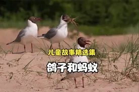 1小时睡前儿童童话故事，早睡早起身体好，早起的鸟儿有虫吃视频封面