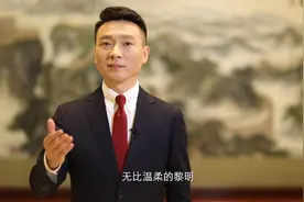 总台主持人康辉接力朗诵诗歌《我爱这土地》视频封面
