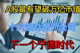 A股五年高景气赛道的十大优质龙头公司，值得收藏研究！视频封面