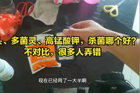 蒜头、多菌灵、高锰酸钾，谁是最强“杀菌药”？视频封面