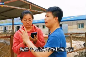 养羊去哪买小羊？10年养羊人建议最好当地购买，或者去这个地方