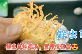 网友：第一次见鲜虫草。鲜虫草炖鸡汤，只需3样食材，味道鲜美视频封面