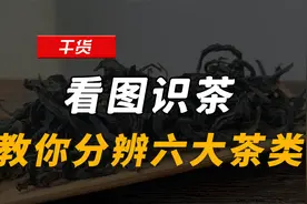 看图识茶 | 教你分辨六大茶类视频封面