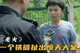 男孩偷懒跑去铁轨放羊，意外捡到个铁疙瘩，帮警察破获惊天大案！视频封面