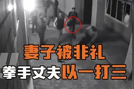 妻子在酒吧被非礼，拳手丈夫以一打三，全部KO！视频封面