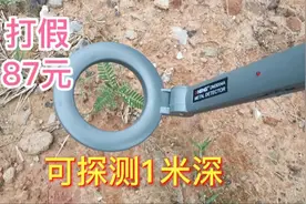 拼多多87元金属探测器，这玩意居然能探测1米深的竹笋？你用过吗