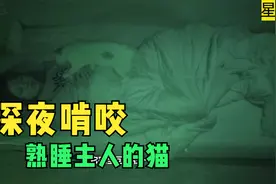 白天温顺的猫一到深夜就撕咬主人，女孩脸部缝合16针视频封面