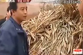 美女曝患艾滋病，公开279名服务过客户信息，其中还有名人视频封面