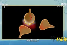 豆皮中含一种物质，是“记忆素”的原料，对大脑有好处|健康之路视频封面