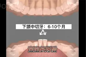 长牙顺序详细动画视频解析！宝宝长牙顺序不对、错乱不要着急视频封面