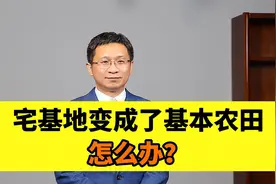 宅基地变成了基本农田，怎么办？视频封面
