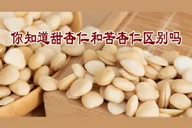 老中医养生谈：你知道甜杏仁和苦杏仁区别吗视频封面