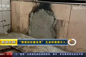 “禁柴封灶被冻哭”？生态环境部已介入视频封面