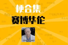 赛博华佗是什么梗【梗合集】潘卫利视频封面