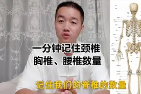 教个小技巧，让大家一分钟记住人体颈椎、胸椎、腰椎数量视频封面