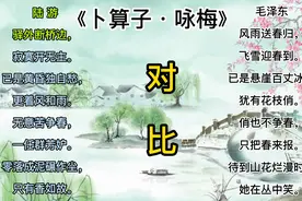 陆游《卜算子· 咏梅》毛泽东《卜算子· 咏梅》对比  古诗词讲解视频封面