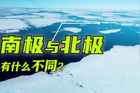 南北极对比，北极熊可以去南极生活吗？为什么南极寸草不生？视频封面