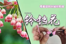 三分钟学会毛线小萌物，小巧玲珑铃铛花，钩法简单造型优美用处多