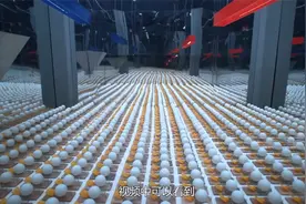 原子弹是如何裂变的？用1000颗乒乓球模拟实验，看完就明白了！视频封面