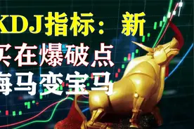 A股：老师傅改一个简单KDJ参数，轻松主升浪，海马变宝马！视频封面