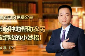 不影响你种地！农民创收增收的小妙招！（下）@张俊平赚钱思维视频封面