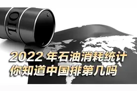 世界各国各地每日石油消耗量统计，你知道中国每天要用多少桶吗？视频封面