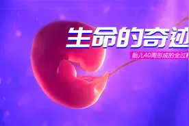 2022 生命的奇迹，胎儿40周形成的全过程，献给天下所有的妈妈！视频封面