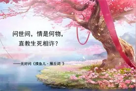 盘点最触动心灵的二十句古诗词，你最喜欢哪一句？视频封面