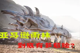 动物的天堂却是人类禁区，亚马逊雨林里面有什么，为何如此可怕？视频封面