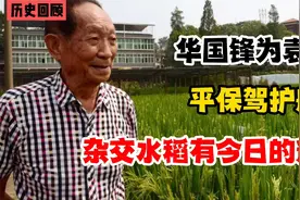 华国锋为袁隆平保驾护航，杂交水稻有今日的辉煌视频封面
