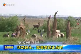 华龙码头：踏青赏花正当时 岳阳楼景区：防疫旅游两不误视频封面