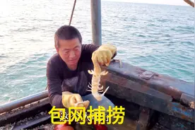 福建二爷包船出海捕，分拣过程中惊喜不断，太刺激了视频封面