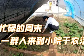 有个小院真不错，建个蔬菜大棚，修个鸡窝，以后吃喝不愁喽视频封面