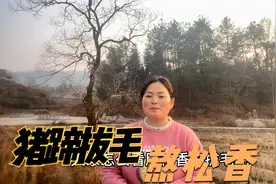 大别山安徽农村，用松香给猪蹄拔毛，熬松香，这样做你认同吗视频封面