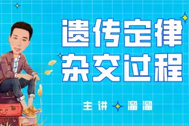 孟德尔的豌豆杂交实验-高考-高中生物-遗传定律-分离定律视频封面
