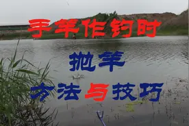 抛竿方法不同，渔获也大不相同!手竿作钓时的抛竿方法与技巧！视频封面
