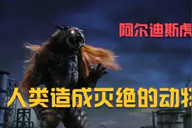 世界上最后一只阿尔迪斯虎灭绝，而这个结局是拜人类所赐