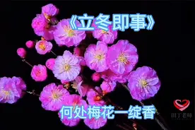 何处梅花一绽香，仇远的《立冬即事》，充满希望和期待的立冬之美视频封面