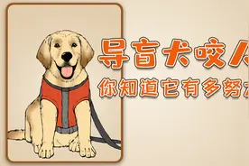 导盲犬咬人？混子哥带你走近萌汪视频封面