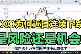 当下最后一个可以抄底的大方向：CXO！视频封面