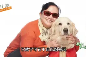导盲犬贝贝陪伴主人十年后离世，主人痛哭，遗憾没能好好送走它视频封面