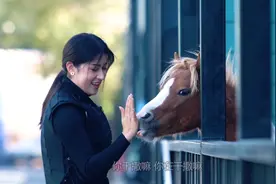 新疆姑娘饲养的袖珍马，身高80公分性格温顺，怎样带回家做宠物？