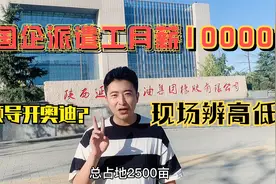 国企石油橡胶厂：派遣工月薪10000？领导开奥迪？现场辨真假！视频封面