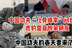 中国功夫“化骨绵掌”问世后虎豹雷音惊呆网友 中国功夫春天来了视频封面