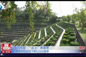 清明将至 福建多地暂停现场祭扫活动 云上寄哀思视频封面