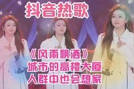 菲儿团队翻唱《风雨飘洒》谁不是装聋作哑，在这片风雨之中出发视频封面